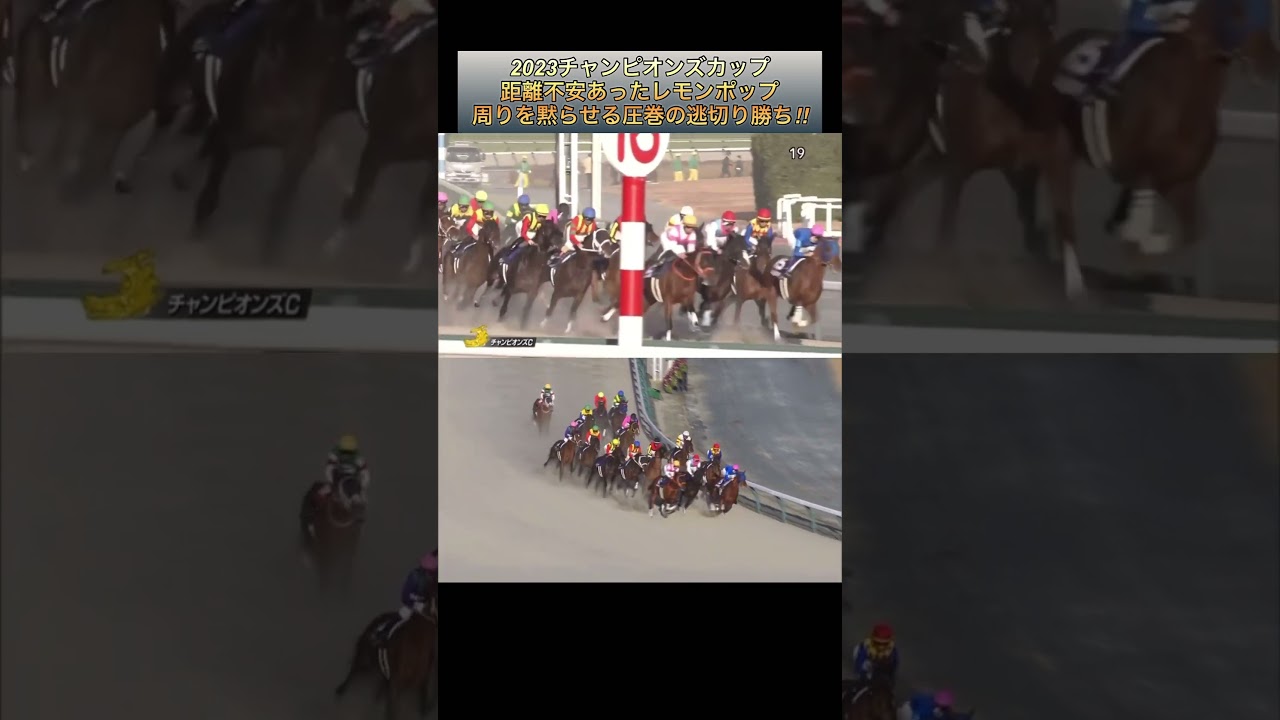【競馬】圧巻の逃走劇‼️2023チャンピオンズＣレモンポップ距離不安克服の勝利  #レモンポップ  #チャンピオンズカップ  #坂井溜星