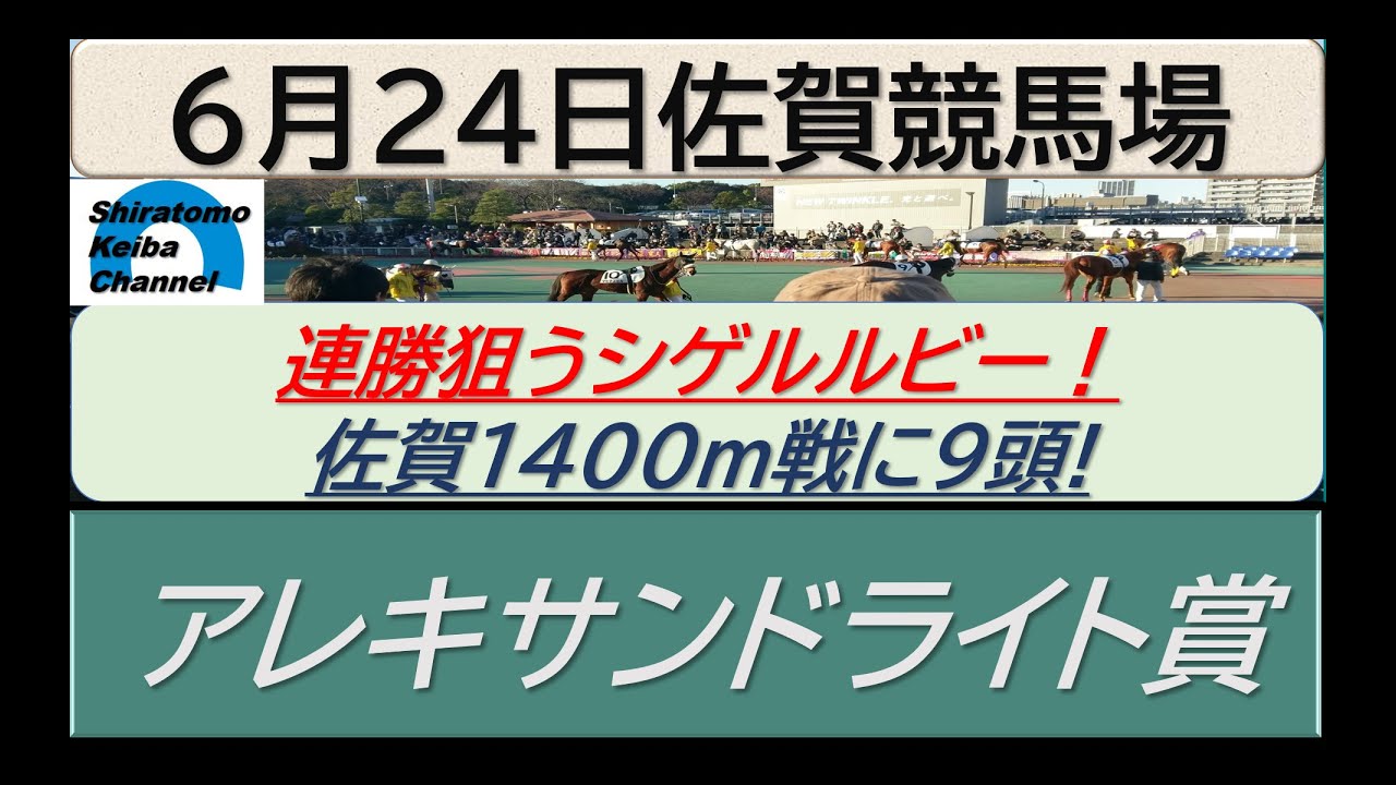 【競馬予想】アレキサンドライト賞！～２０２４年６月２４日 佐賀競馬場 ：６－５４