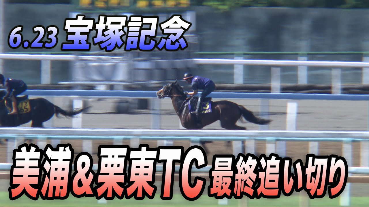 【上半期ラストGⅠ・宝塚記念】美浦＆栗東TC 最終追い切り