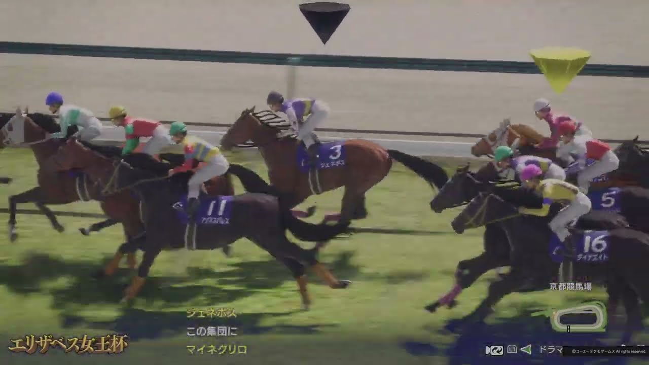 1989年 エリザベス女王杯