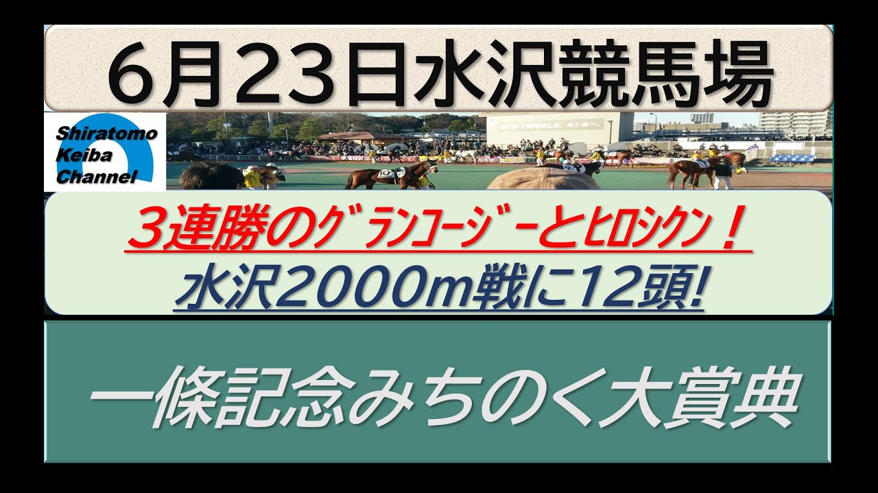【競馬予想】一條記念みちのく大賞典！～２０２４年６月２３日 水沢競馬場 ：６－５０