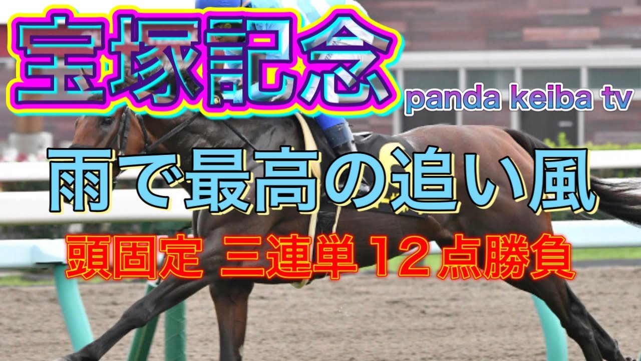 【宝塚記念 2024】頭固定❗️馬連4点‼️三連単12点🔥🔥雨の降るスイング勝負🔥🔥panda keiba TV