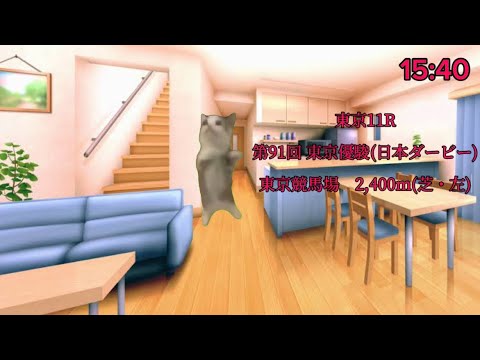東京優駿(日本ダービー)の振り返り　[猫ミーム]