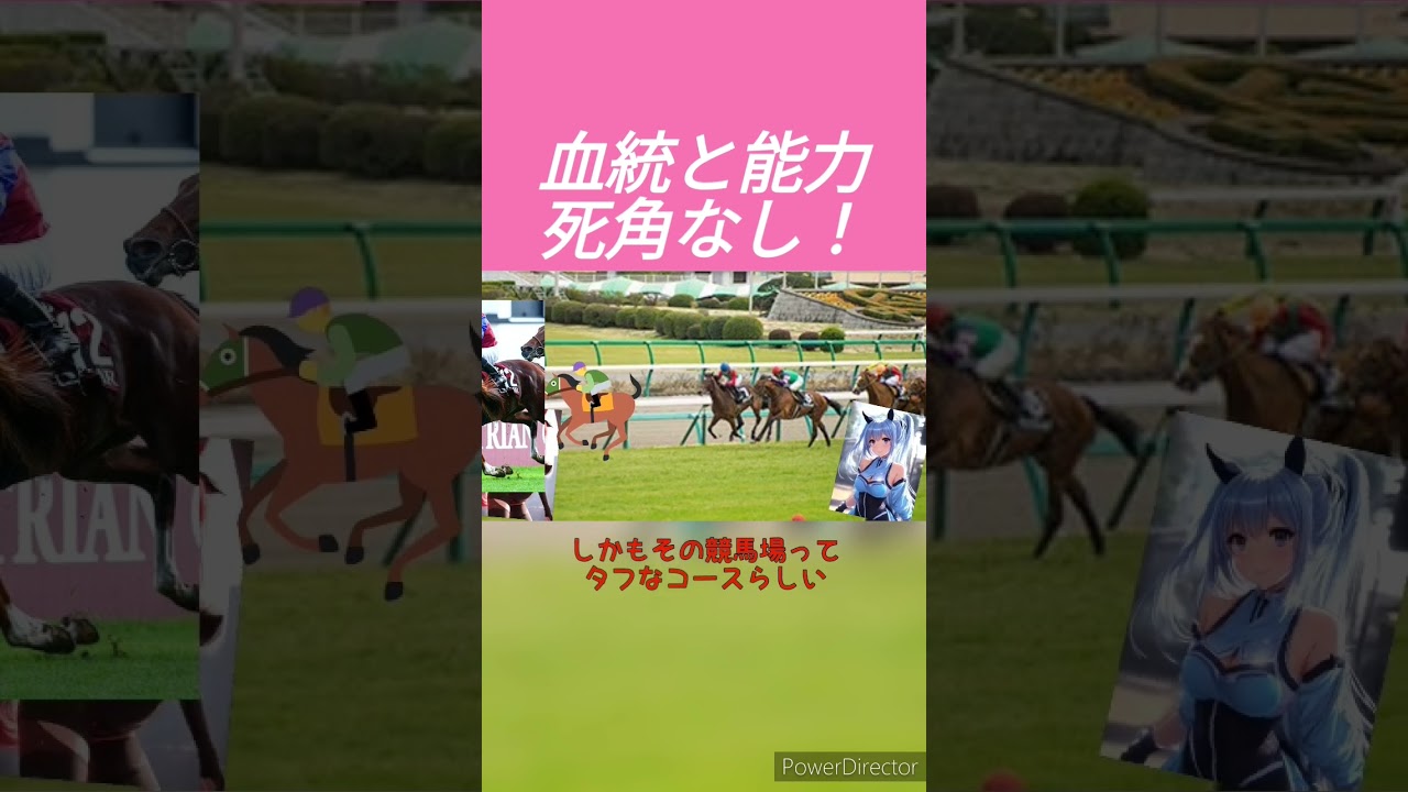 「ホープフルステークス2023予想」シンエンペラー血統と能力死角なし！　#競馬予想
