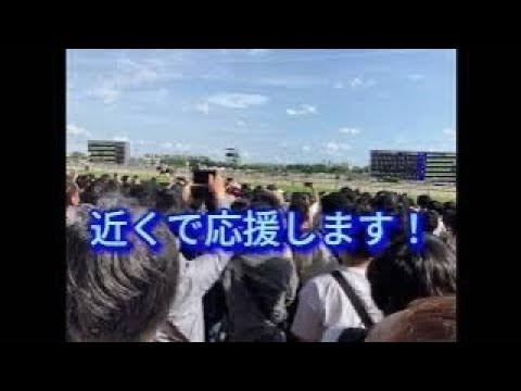 ２０２４日本ダービー（東京優駿）にウマベイが挑む