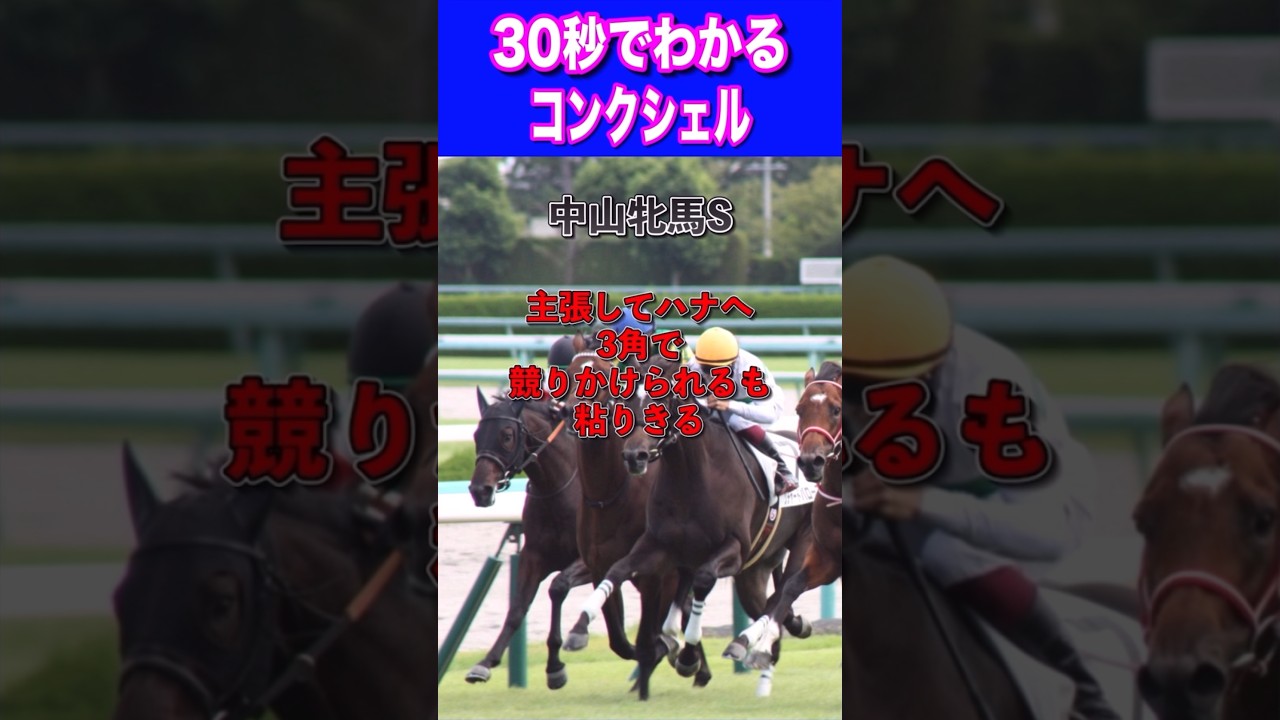 【ヴィクトリアマイル2024】30秒でわかるコンクシェル