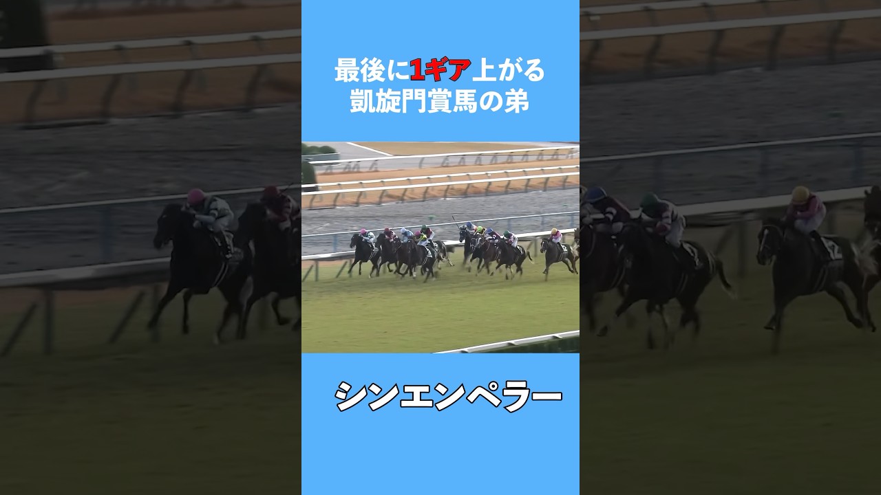 【シンエンペラー】凱旋門賞馬の弟良血馬#ホープフルステークス #ホープフルs