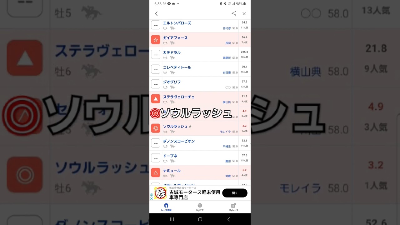 #安田記念◎ソウルラッシュ#枠順前#中央#東京競馬予想動画#安田記念2024#shorts