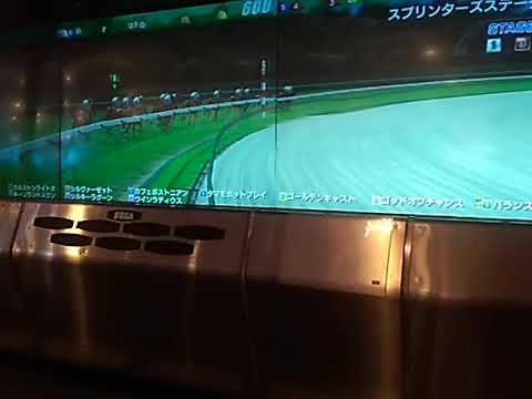 16バランスオブゲームー スプリンターズS引退