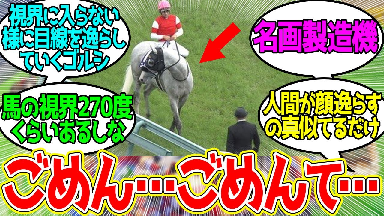 宝塚記念の思い出…に対するみんなの反応！【競馬 の反応集】