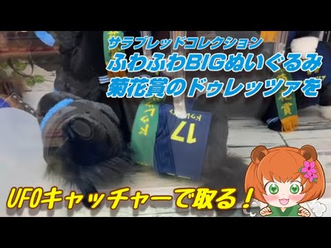 サラブレッドコレクション ふわふわBIGぬいぐるみ！菊花賞のドゥレッツァをUFOキャッチャーで取る！