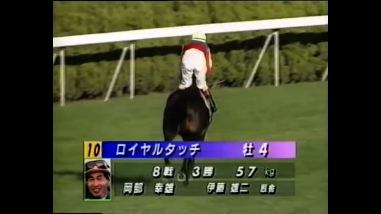 1996 菊花賞