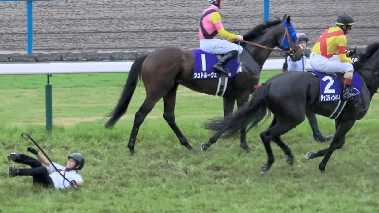 【宝塚記念2024】誘導馬も興奮！ 本馬場入場でジャスティンパレスが暴れる 現地映像 ブローザホーン