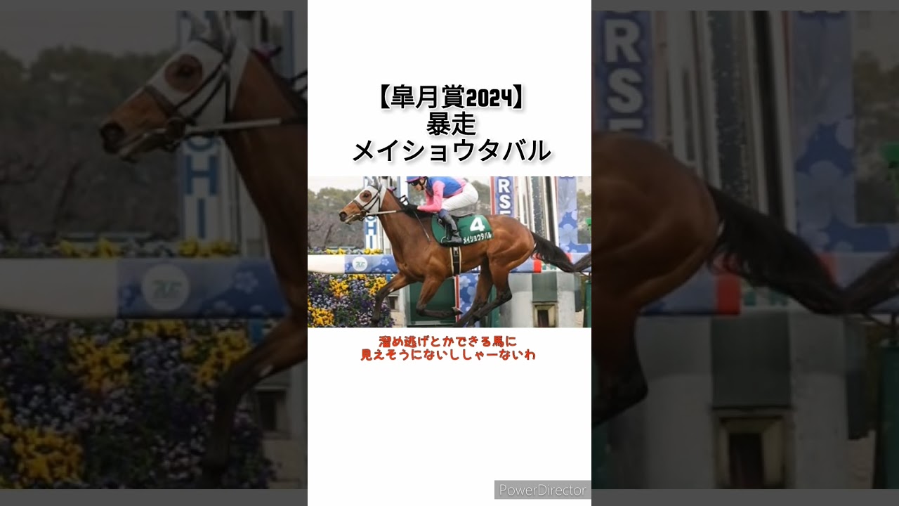 【皐月賞2024】暴走57秒5、17着メイショウタバル　 #競馬