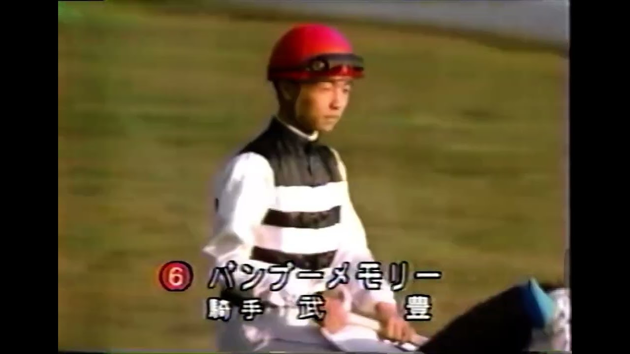1990 天皇賞秋