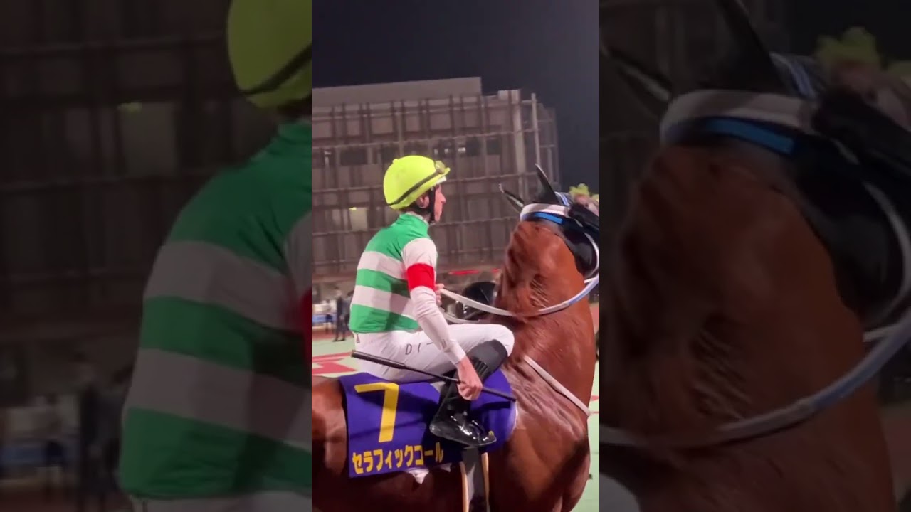帝王賞 パドック 気合いの入ったジョッキー達  #競馬 #競馬予想   #こしゃまる #shorts  #short