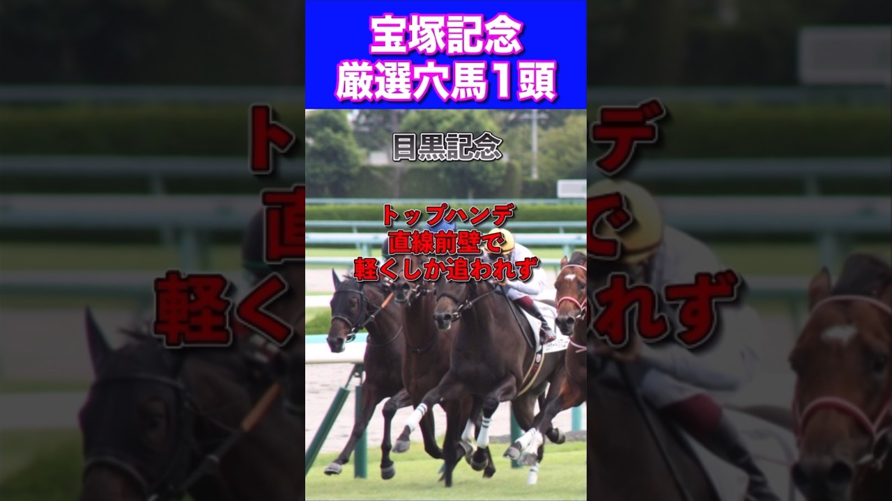 【宝塚記念2024】厳選穴馬1頭