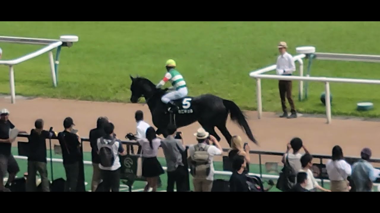 【秋華賞を狙える❓️】2024/06/15 東京9R カニキュルが三浦特別(1勝クラス)を優勝❗パドック、本馬場入場の様子