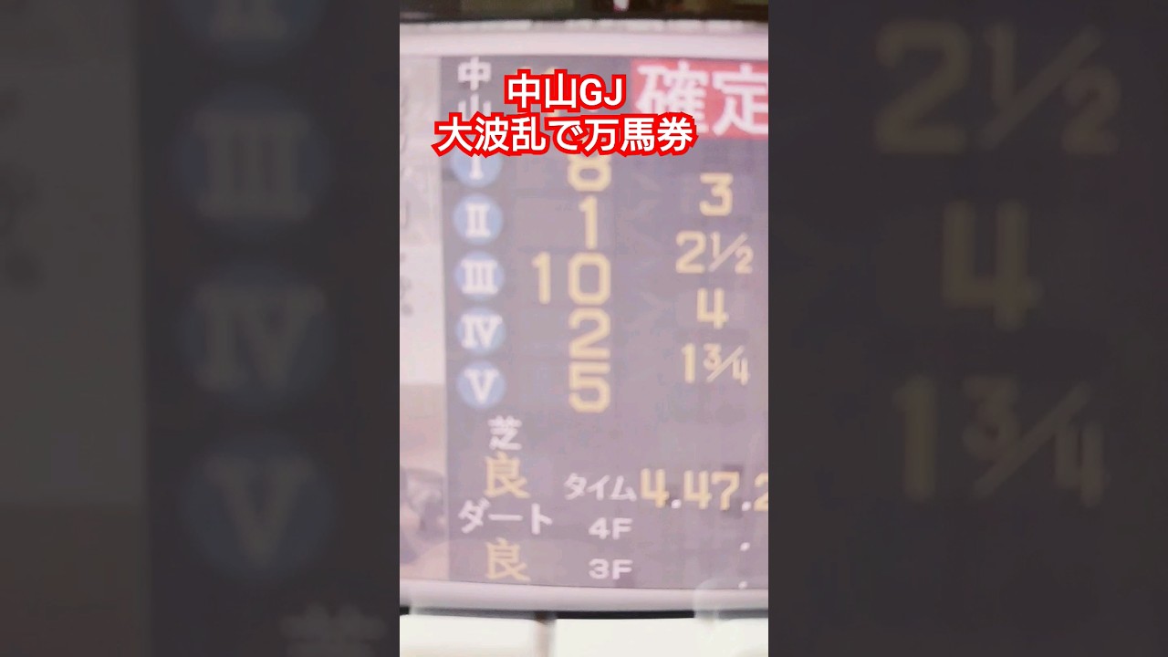 払戻し 中山グランドジャンプ結果 万馬券 1人気マイネル着外 中山競馬場