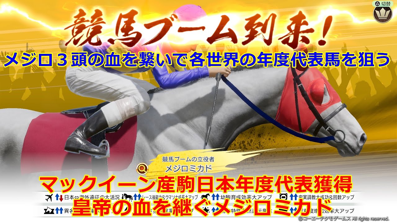 WP10 2024 メジロ３頭を世界に分けて各世界の年度代表馬を狙う　２００３年編