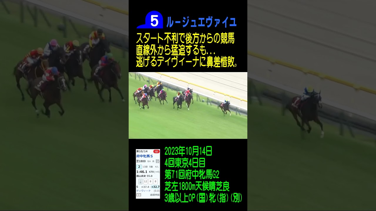 【圧倒的主観有力馬参考レース】京都記念GII 2024 ルージュエヴァイユ #shorts#2024#競馬