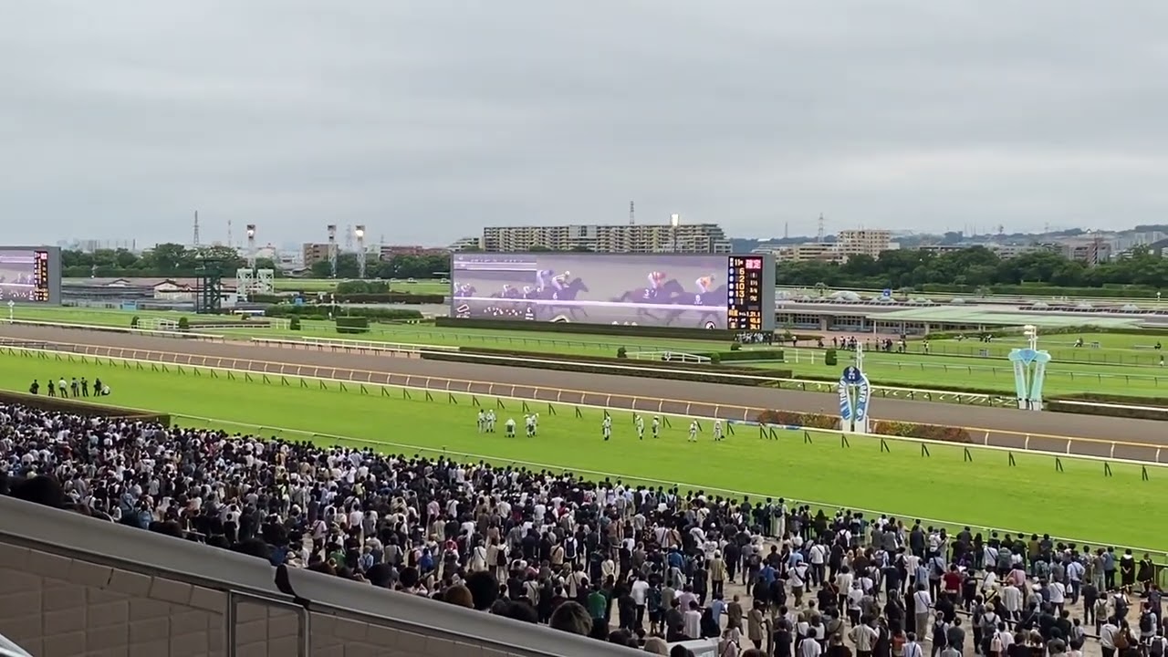 宝塚記念の時の東京競馬場