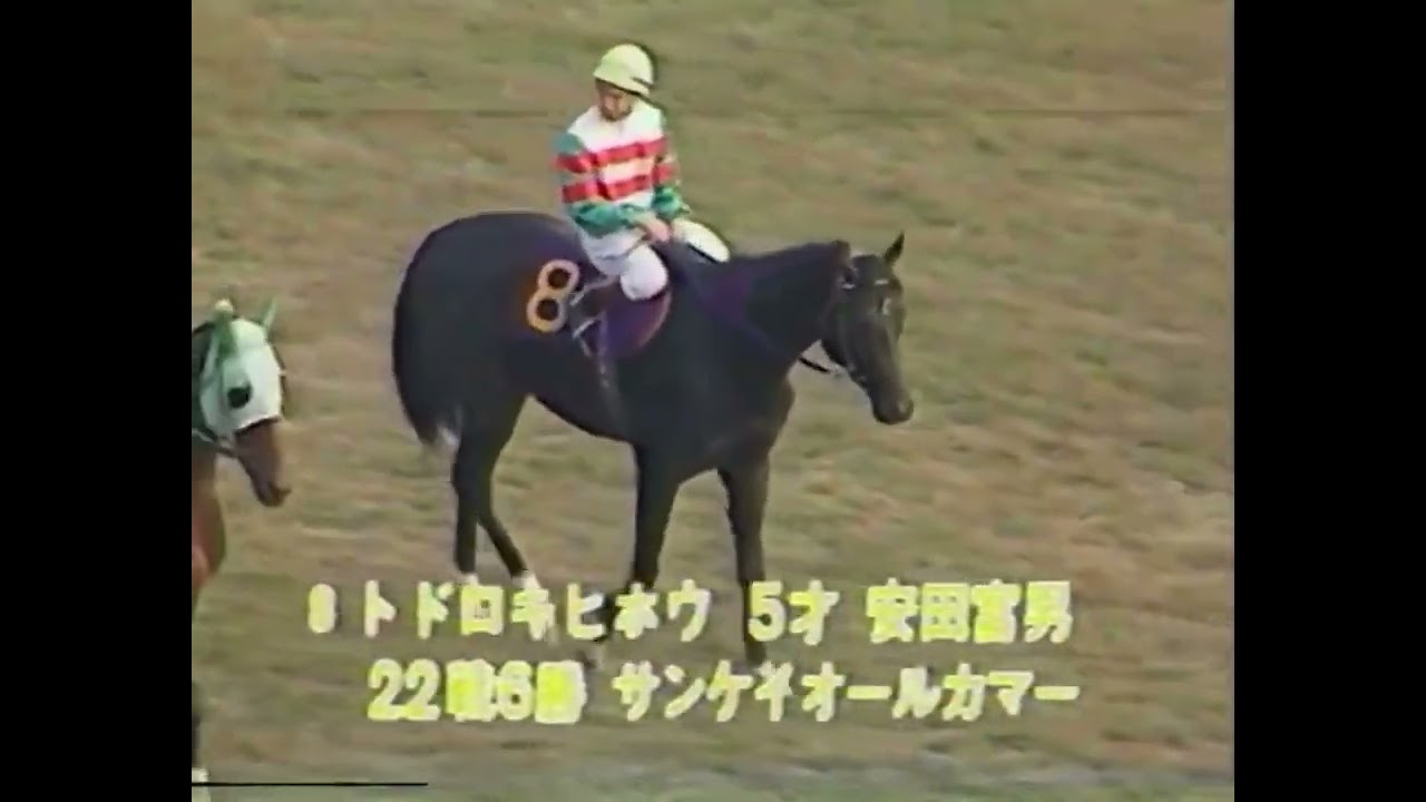 1982 天皇賞秋