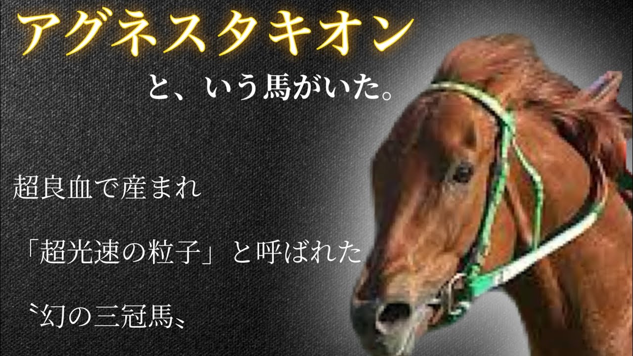 【幻の三冠馬】アグネスタキオン🐎👑