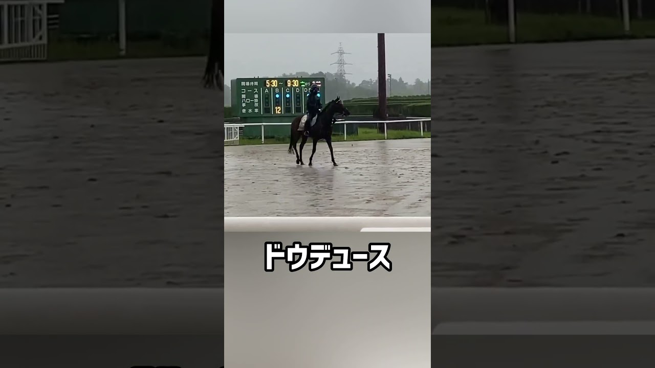 ドウデュース豪雨でもルンルン♪ #競馬 #宝塚記念2024 #shorts