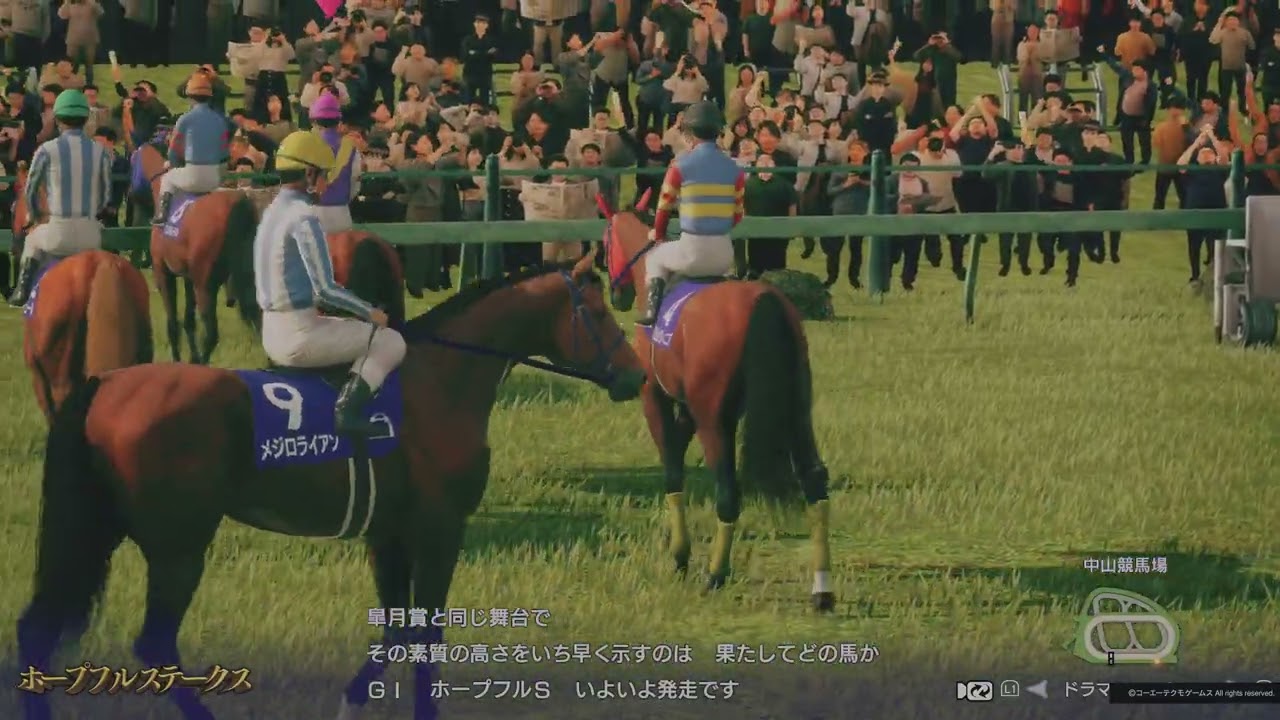 1989年 ホープフルステークス