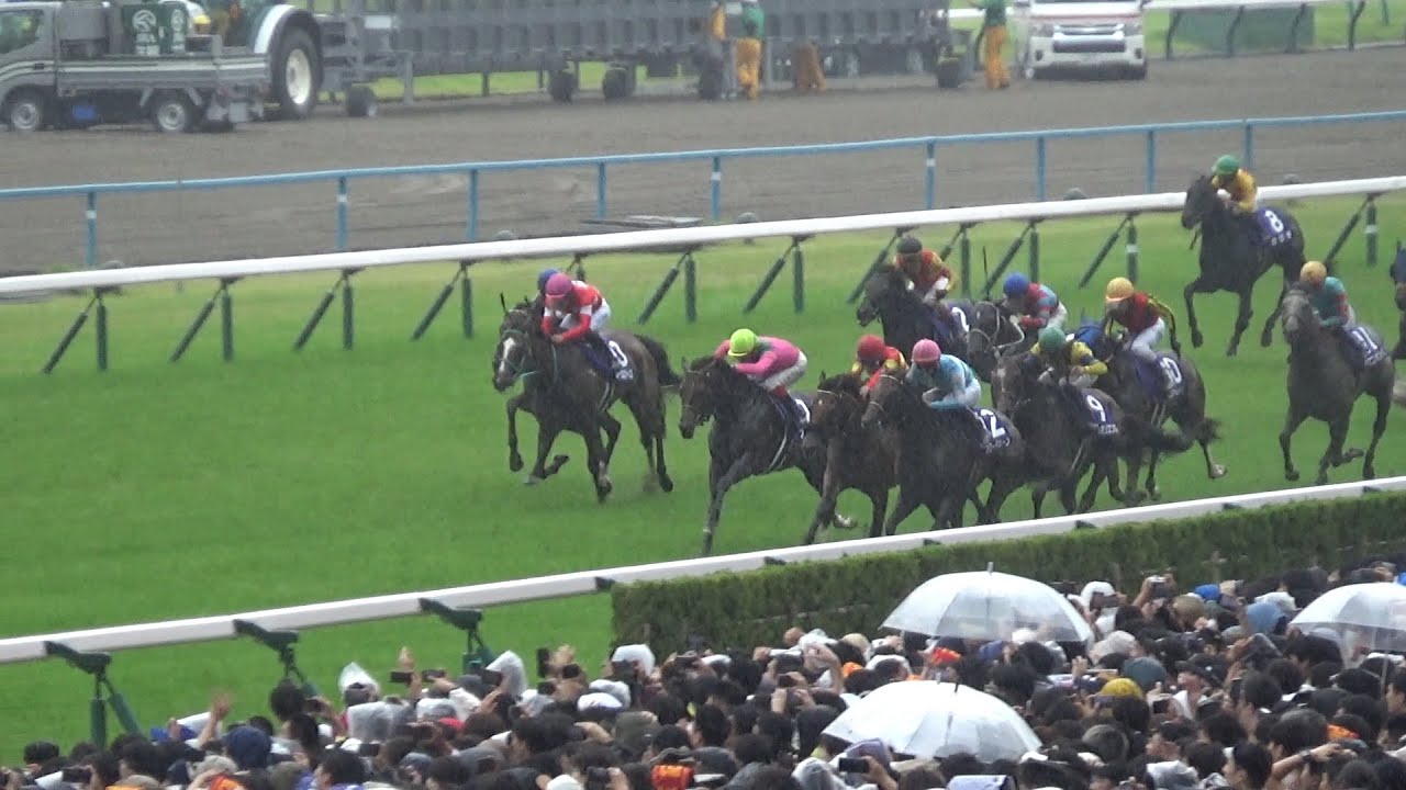 【宝塚記念2024】雨を切り裂き大外から極上の切れ味を披露したブローザホーン【現地映像】