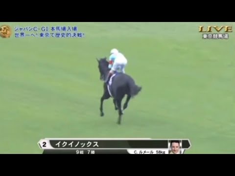 2023年 ジャパンカップ (GI) 本馬場入場 【イクイノックス】