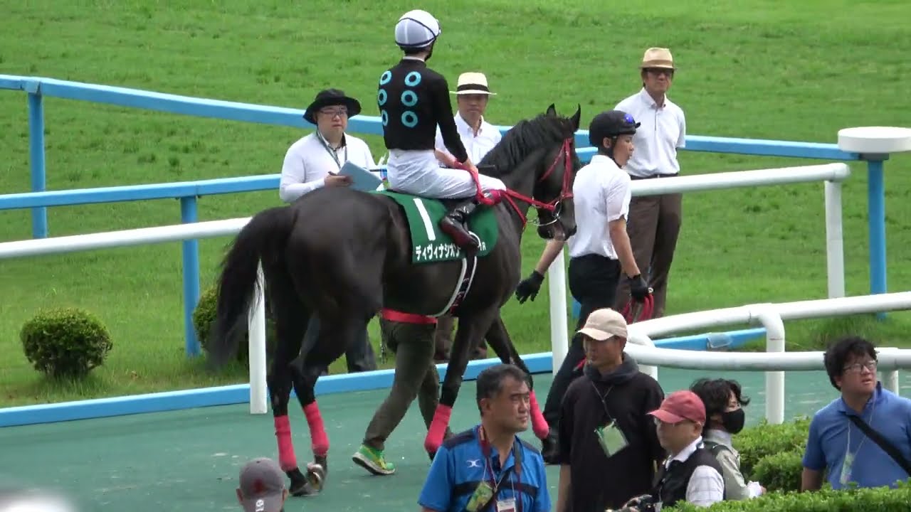【北九州記念2024】 本馬場入場 現地映像 ピューロマジック