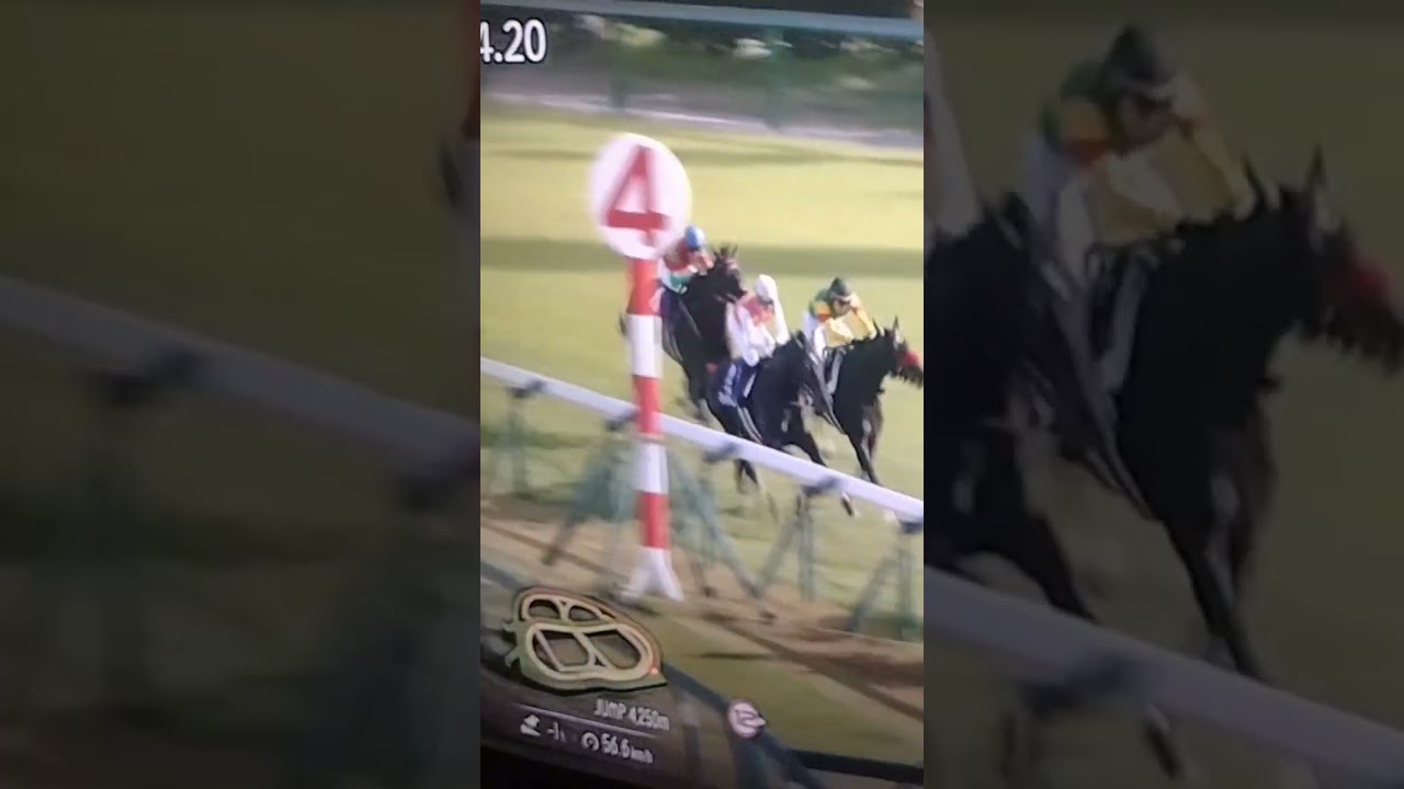 中山グランドジャンプ！