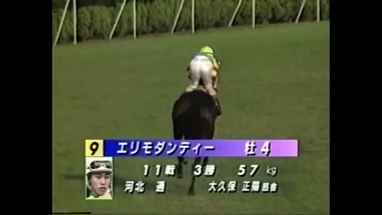 1997 菊花賞