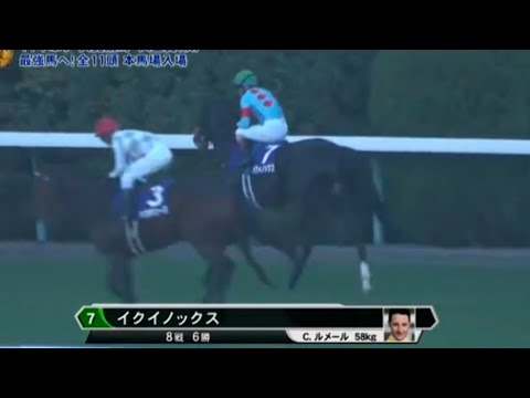 2023年 天皇賞秋 (GI) 本馬場入場【イクイノックス】