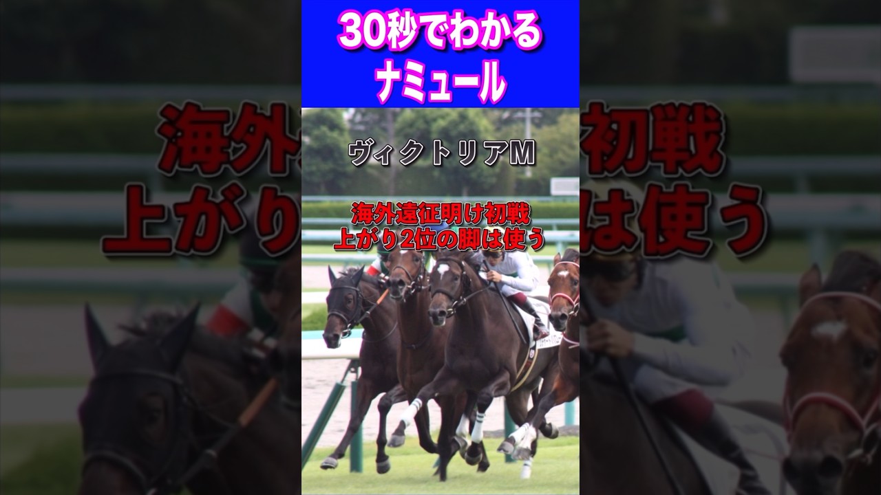 【安田記念2024】30秒でわかるナミュール