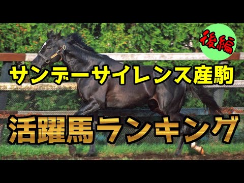【競馬】サンデーサイレンス産駒活躍馬ランキング～後編～