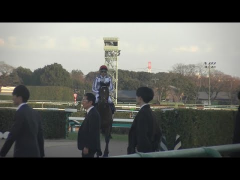 【帰ってきた武豊騎手が声援に応える】有馬記念(GⅠ)レース後検量室前の様子 ドウデュースは優勝レイ・優勝場服を着て歩く スターズオンアース etc 2023/12/24 中山競馬場 11R
