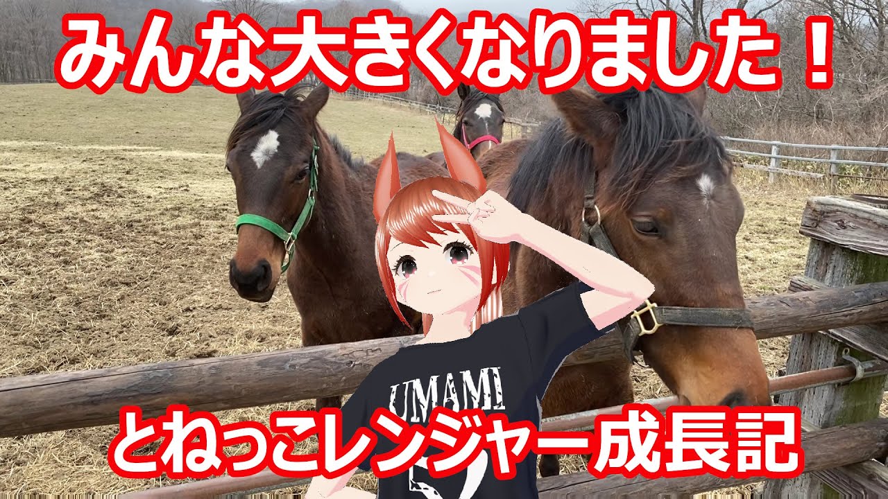 とねっこレンジャー成長記