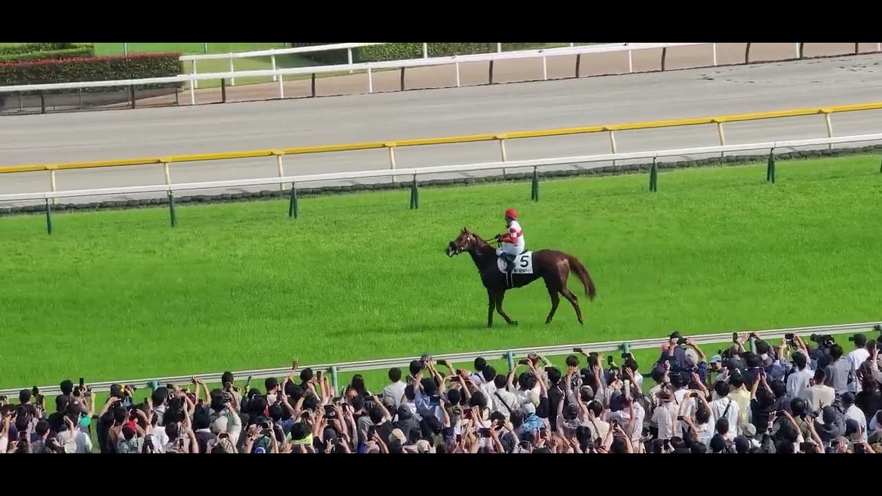 【第91回 日本ダービー(東京優駿)】【現地映像】優勝馬：ダノンデサイル 鞍上：横山典弘 ウイニングラン