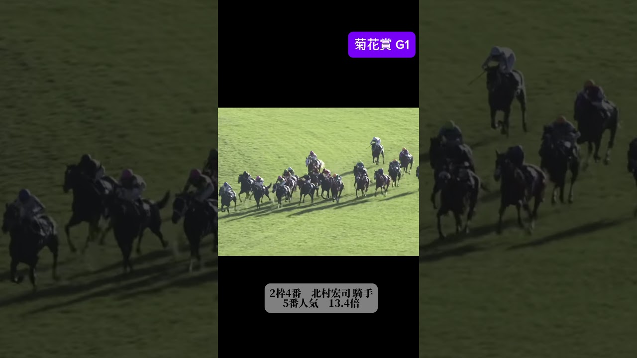 菊花賞 2015 キタサンブラック　#jra #ウマ娘 #競馬 #北島三郎 #キタサンブラック