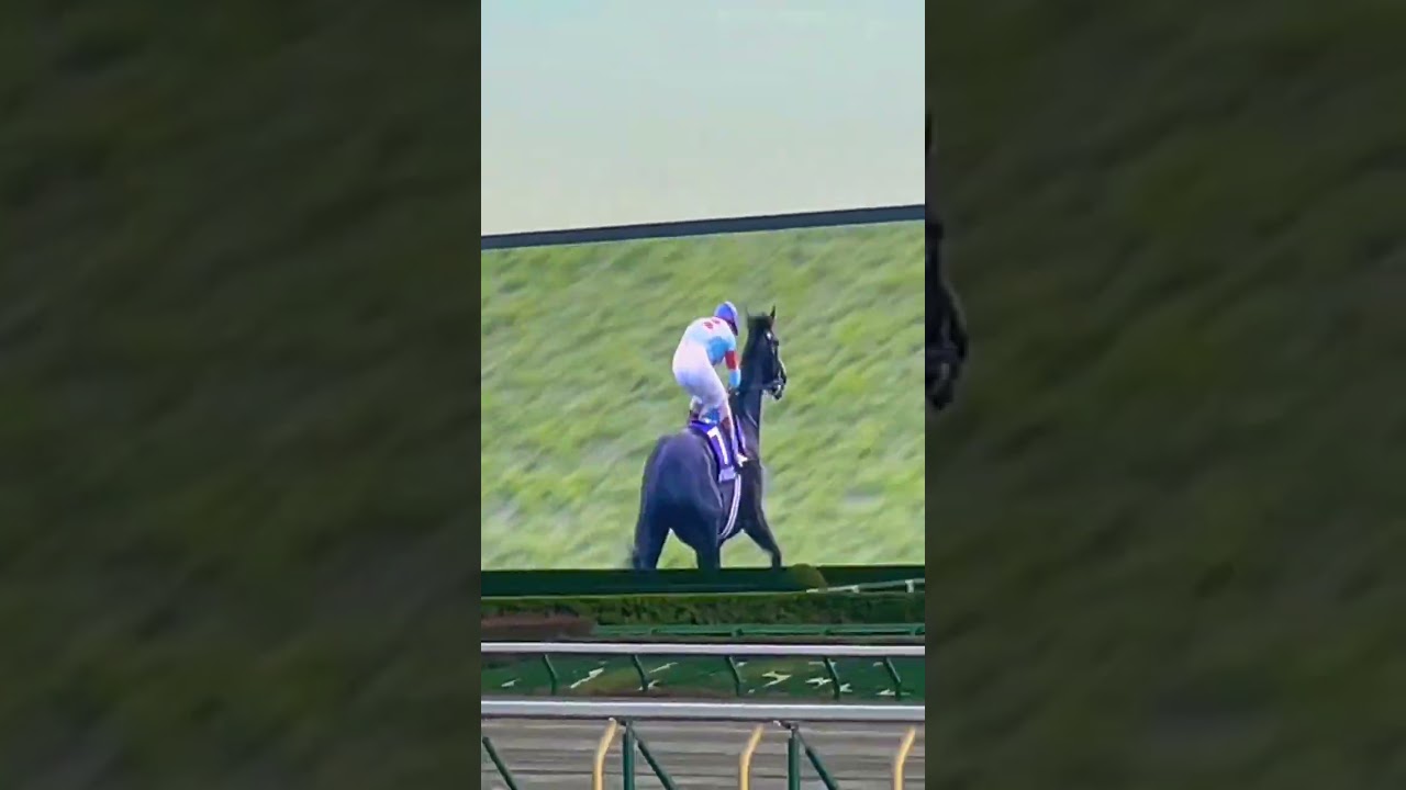 天皇賞秋G1 2022 イクイノックス 最後の直線 ゴールシーン 現地映像