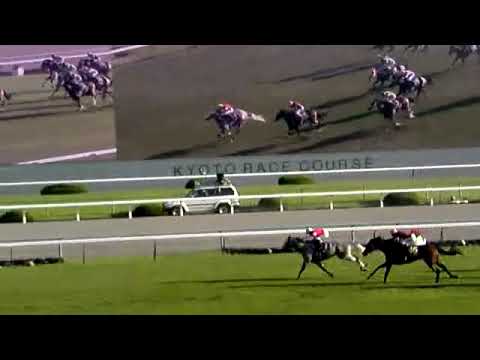 京都淀競馬場菊花賞2012.10.21 ゴールドシップ＆内田博幸と志村けん