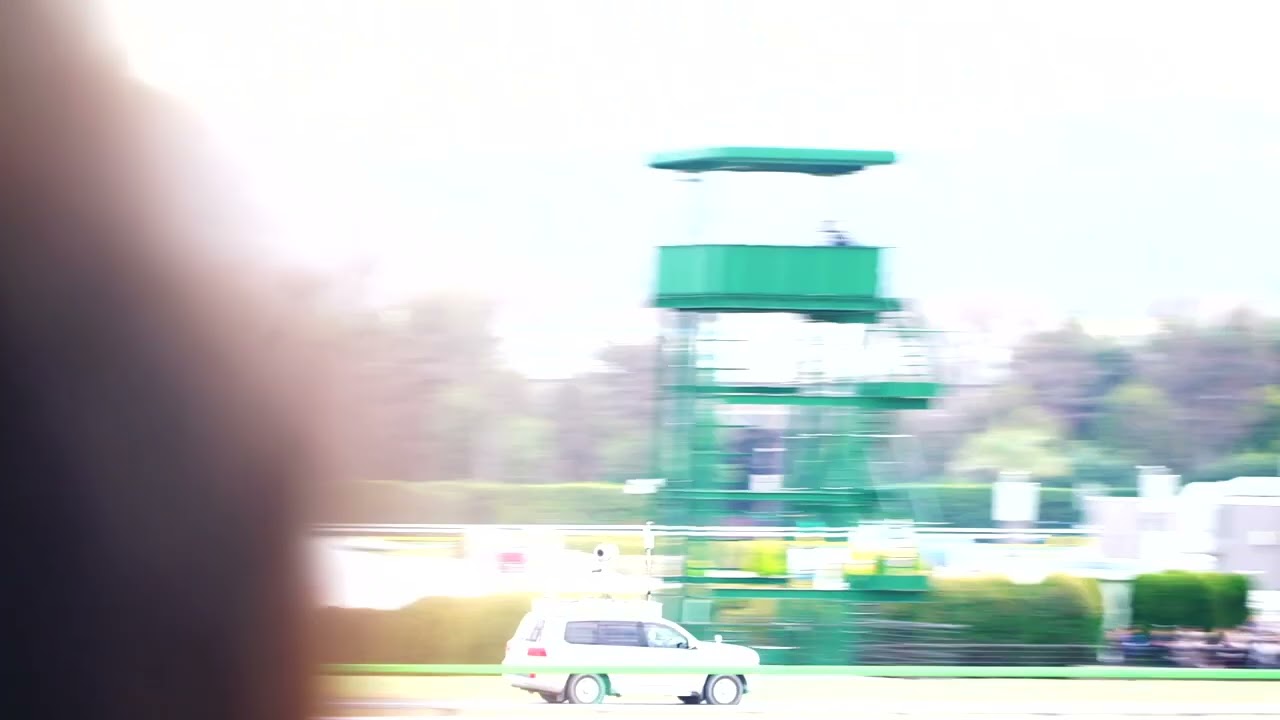 アコモさん 2024 フェブラリーステークス　G１　 東京競馬場　スタートからゴールまで