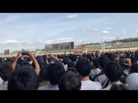 東京優駿日本ダービー2024 現地 ダノンデサイル 横山典弘