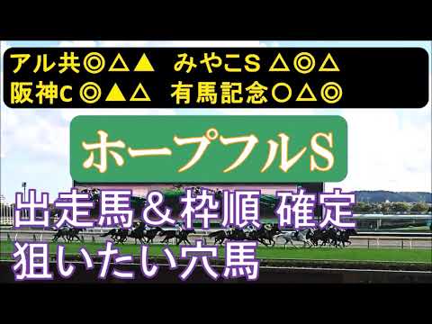 ホープフルステークス2023　最終追い切り診断＆各馬のポイント　穴馬候補2頭。