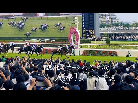 チェルヴィニアGⅠ初制覇 優駿牝馬(オークス) 2024/5/19