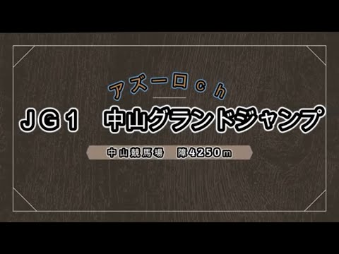 【ＪＧ１中山グランドジャンプ】を観戦する