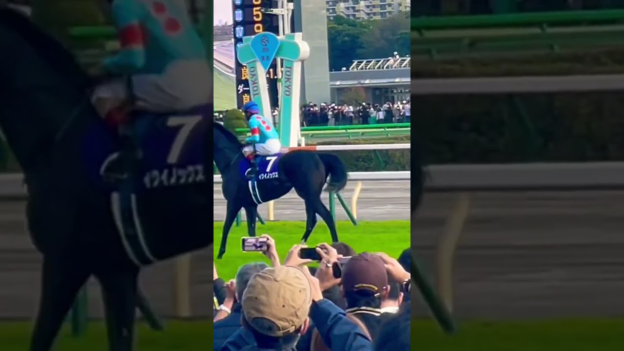 イクイノックス　ルメール騎手　天皇賞秋G1 2022 ウイニングラン　現地映像